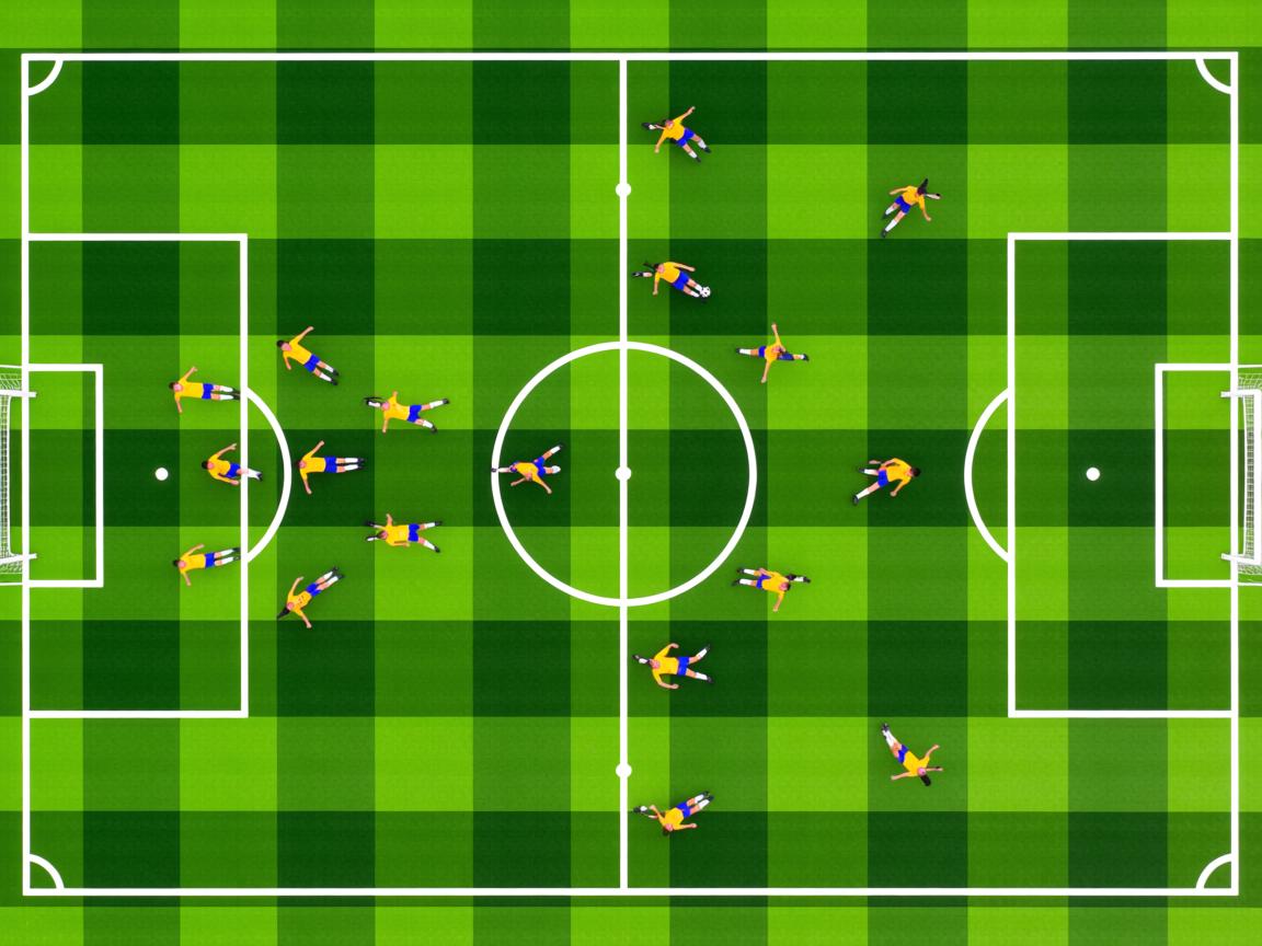 开云体育app注册-女子200蝶划频—配速协同变化趋势对比，女子两百米蝶泳决赛时间  第3张
